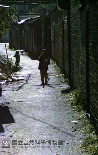 1950至2006年臺灣常民生活藏品圖，第1張