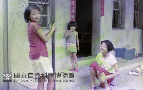 1950至2006年臺灣常民生活藏品圖，第1張