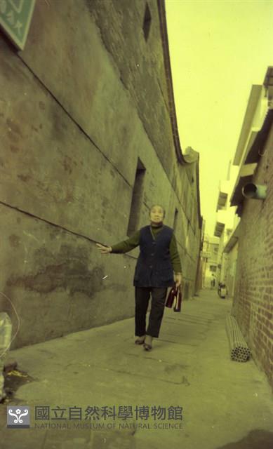 1950至2006年臺灣常民生活藏品圖，第1張