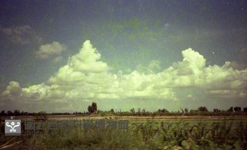 1950至2006年臺灣常民生活藏品圖，第1張