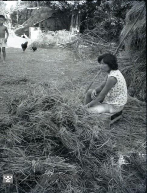 1950至2006年臺灣常民生活藏品圖，第1張