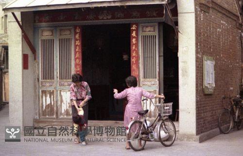 1950至2006年臺灣常民生活藏品圖，第1張