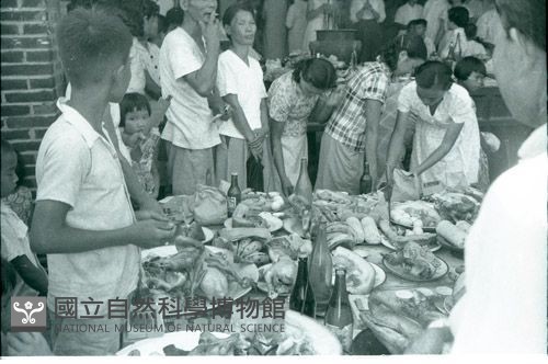 大將爺生（1950至2006年臺灣常民生活）藏品圖，第1張