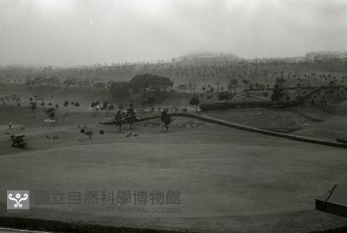 1950至2006年臺灣常民生活藏品圖，第1張
