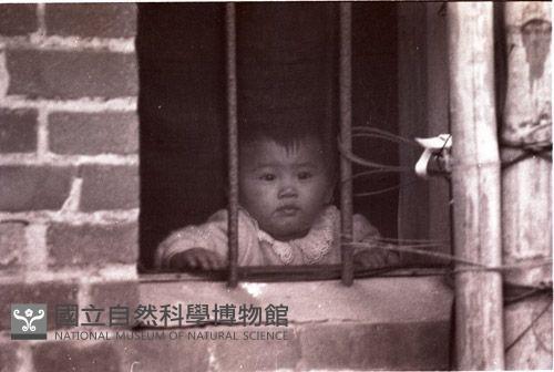 1950至2006年臺灣常民生活藏品圖，第1張
