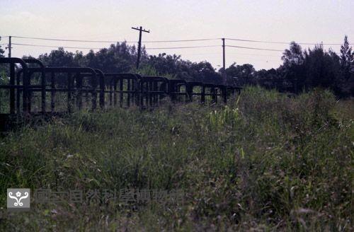 1950至2006年臺灣常民生活藏品圖，第1張