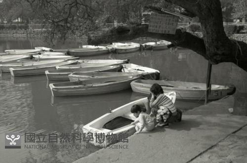 1950至2006年臺灣常民生活藏品圖，第1張