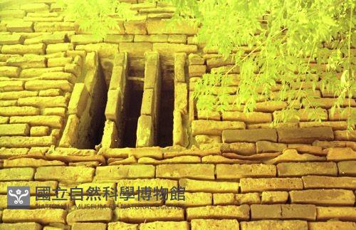 1950至2006年臺灣常民生活藏品圖，第1張