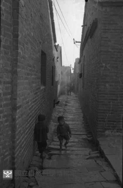 Accession Number:MP2007007064.0001 Collection Image