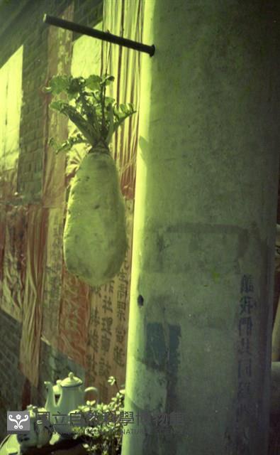 1950至2006年臺灣常民生活藏品圖，第1張