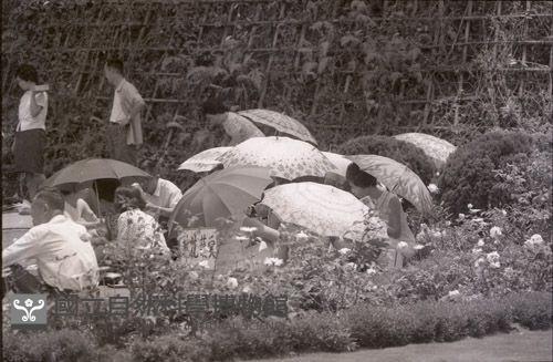 1950至2006年臺灣常民生活藏品圖，第1張
