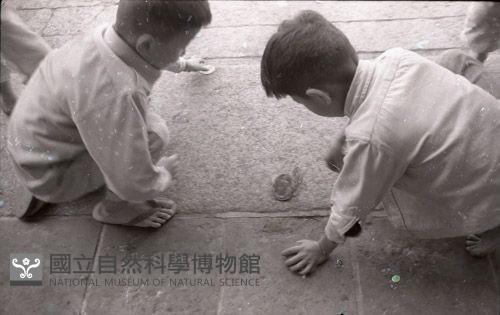 1950至2006年臺灣常民生活藏品圖，第1張
