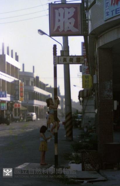 1950至2006年臺灣常民生活藏品圖，第1張