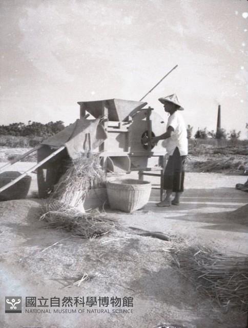 1950至2006年臺灣常民生活藏品圖，第1張