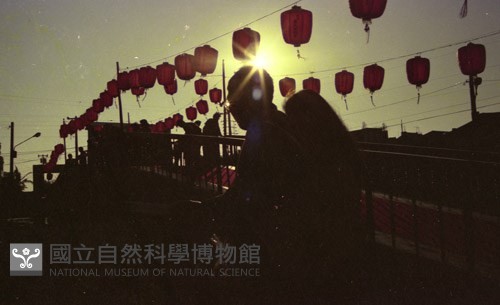 1950至2006年臺灣常民生活藏品圖，第1張