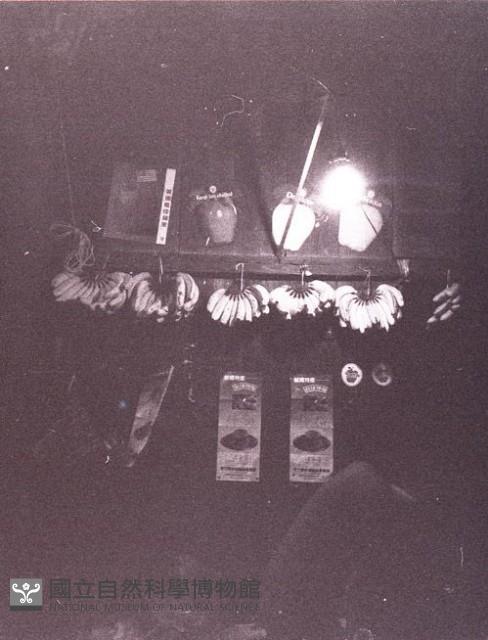 1950至2006年臺灣常民生活藏品圖，第1張