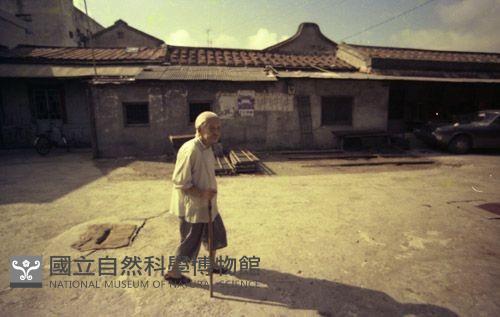 1950至2006年臺灣常民生活藏品圖，第1張