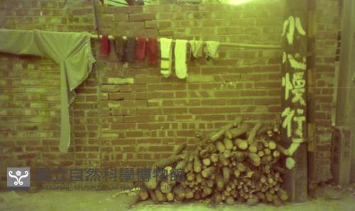 1950至2006年臺灣常民生活藏品圖，第1張