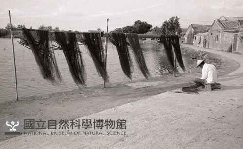 1950至2006年臺灣常民生活藏品圖，第1張
