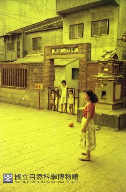 1950至2006年臺灣常民生活藏品圖，第1張