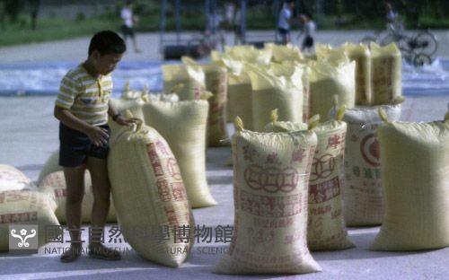 1950至2006年臺灣常民生活藏品圖，第1張
