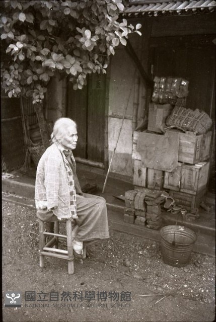1950至2006年臺灣常民生活藏品圖，第1張