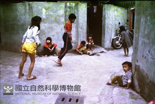 1950至2006年臺灣常民生活藏品圖，第1張