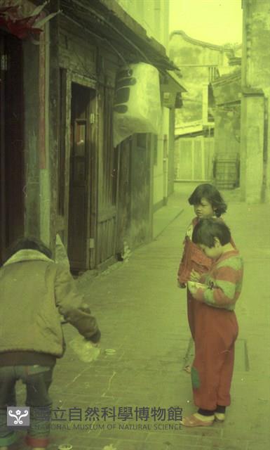 1950至2006年臺灣常民生活藏品圖，第1張