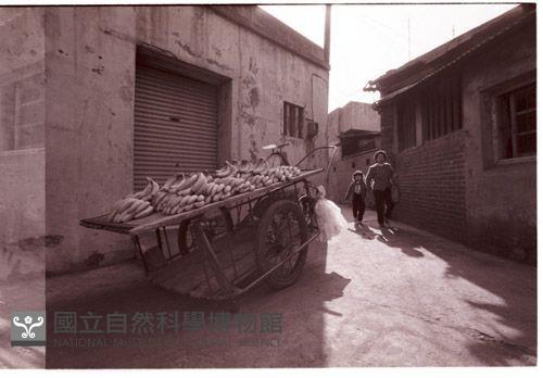 1950至2006年臺灣常民生活藏品圖，第1張