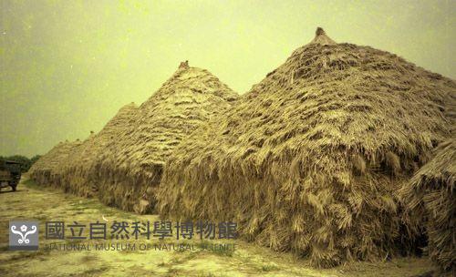 1950至2006年臺灣常民生活藏品圖，第1張