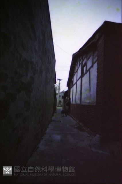 1950至2006年臺灣常民生活藏品圖，第1張