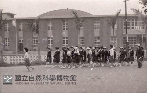 1950至2006年臺灣常民生活藏品圖，第1張