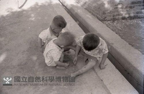 1950至2006年臺灣常民生活藏品圖，第1張