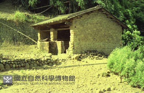 1950至2006年臺灣常民生活藏品圖，第1張