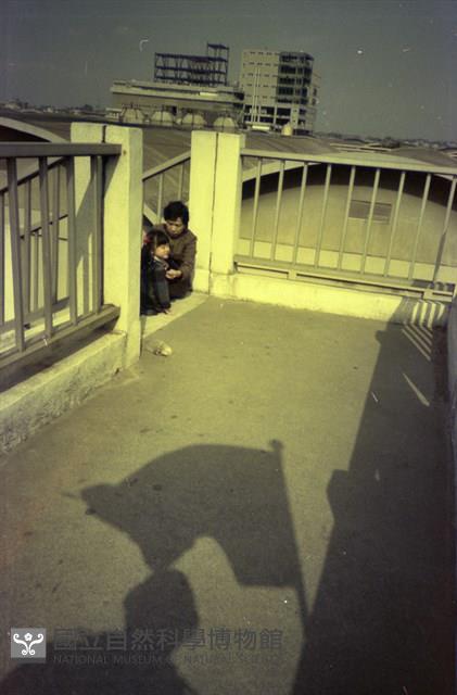 1950至2006年臺灣常民生活藏品圖，第1張