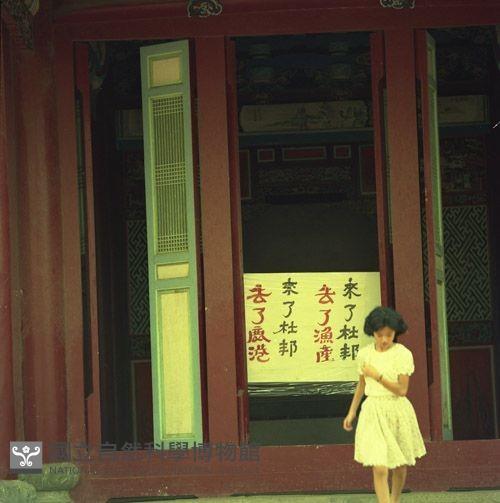 1950至2006年臺灣常民生活藏品圖，第1張