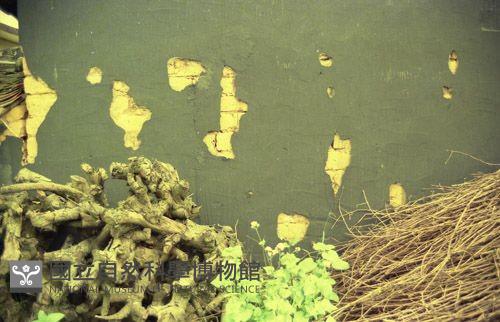 1950至2006年臺灣常民生活藏品圖，第1張