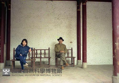 1950至2006年臺灣常民生活藏品圖，第1張