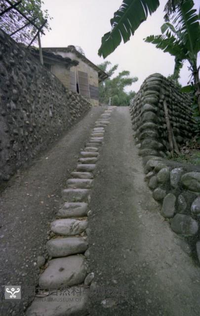 1950至2006年臺灣常民生活藏品圖，第1張