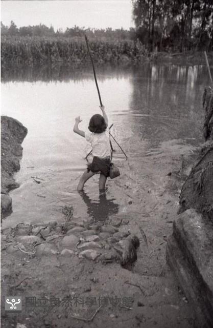 1950至2006年臺灣常民生活藏品圖，第1張