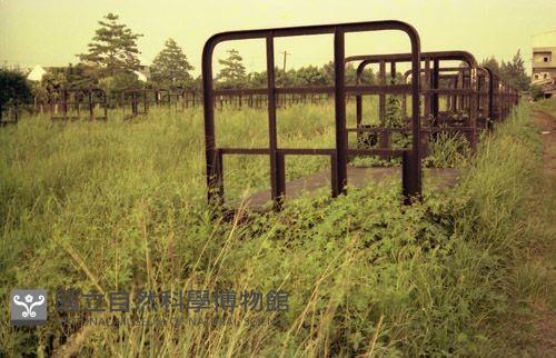 1950至2006年臺灣常民生活藏品圖，第1張
