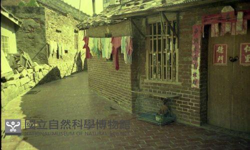 1950至2006年臺灣常民生活藏品圖，第1張