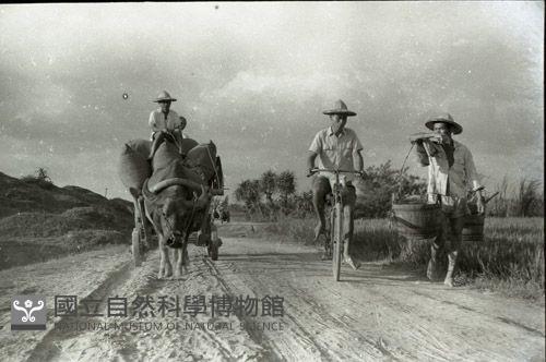 1950至2006年臺灣常民生活藏品圖，第1張