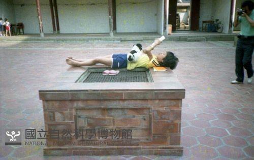 1950至2006年臺灣常民生活藏品圖，第1張