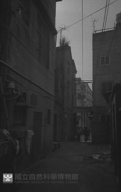 1950至2006年臺灣常民生活藏品圖，第1張