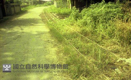 1950至2006年臺灣常民生活藏品圖，第1張