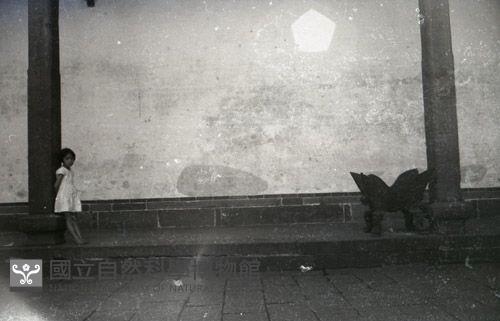 1950至2006年台灣常民生活藏品圖，第1張