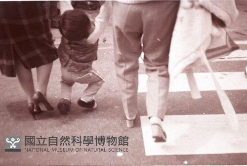 1950至2006年臺灣常民生活藏品圖，第1張