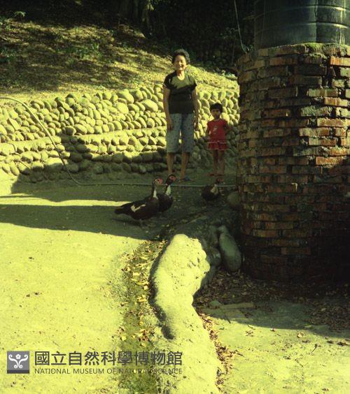 1950至2006年臺灣常民生活藏品圖，第1張