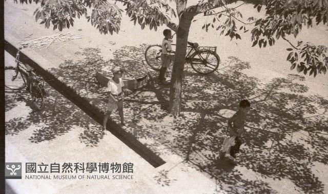 1950至2006年臺灣常民生活藏品圖，第1張